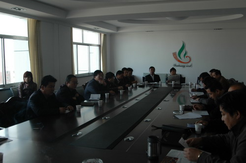 公司黨委召開黨委擴大會，部署安排學習貫徹十七大精神