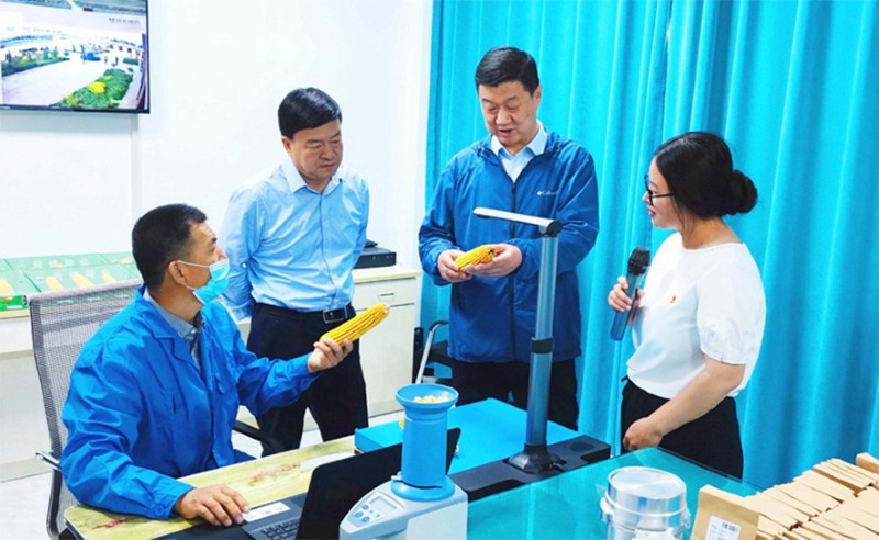 甘肅省地方金融監(jiān)管局、甘肅證監(jiān)局領(lǐng)導(dǎo)蒞臨敦煌種業(yè)調(diào)研指導(dǎo)