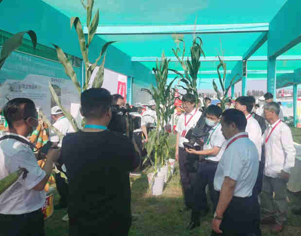 公司一批產(chǎn)品參展第五屆酒泉現(xiàn)代種業(yè)博覽會(huì)暨第二屆花卉博覽會(huì) 受到各方客戶(hù)青睞